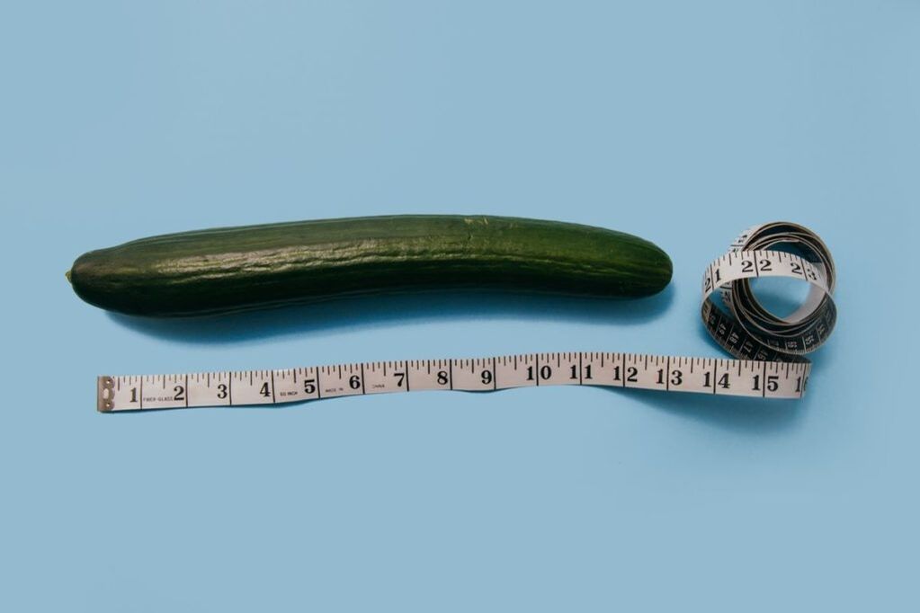 Zakilaren tamaina neurtzea pepino baten adibidea erabiliz
